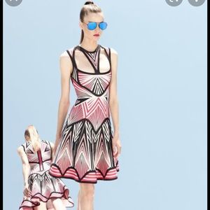 Brand New “ANAYA” Herve Leger Cut Out Print Dress (Runway).